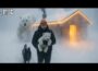 Epic Off Grid Survival Blizzard Story Healing an Injured Polar Bear Cub