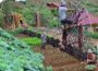 The Couple Builds an Off-Grid Life, Plants a New Garden, and Builds a Primitive Machine