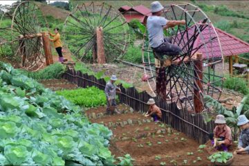 The Couple Builds an Off-Grid Life, Plants a New Garden, and Builds a Primitive Machine