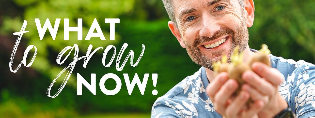 What to Grow in September | Not Your Usual What to Sow Video!
