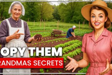 30 Gardening Hacks Grandma Always Relied On