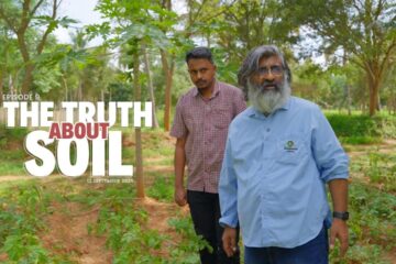 Why Understanding Soil Is The Secret To Better Farming