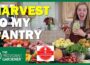 Turn Your Garden Into a Year-Round Grocery Store: 9 Game-Changing Methods #30daysofpreparedness2025