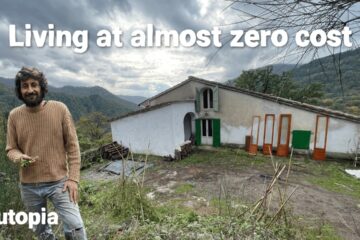 “I left the city for a simple off-grid life in the forest (with almost no money)”