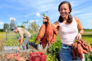 Growing a TON of FOOD in a Small Amount of Space