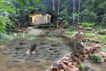 400 Days of living in the forest, Gardening, Harvesting carp, Making wild boar and smoking carp