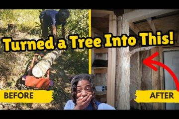 From Tree to Tiny House — Our Off-Grid Build! From Tree to Tiny House — Our Off-Grid Build!