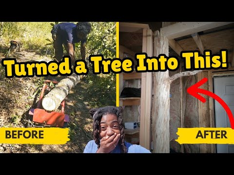 From Tree to Tiny House — Our Off-Grid Build!