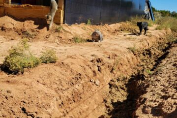 Swale irrigation secrets for arid homesteads Swale irrigation secrets for arid homesteads