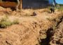 Swale irrigation secrets for arid homesteads