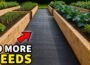 Eliminate ALL Garden Weeds FOREVER, Cheap and Easy!