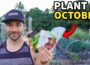 Plant These 10 AWESOME Crops In October RIGHT NOW!