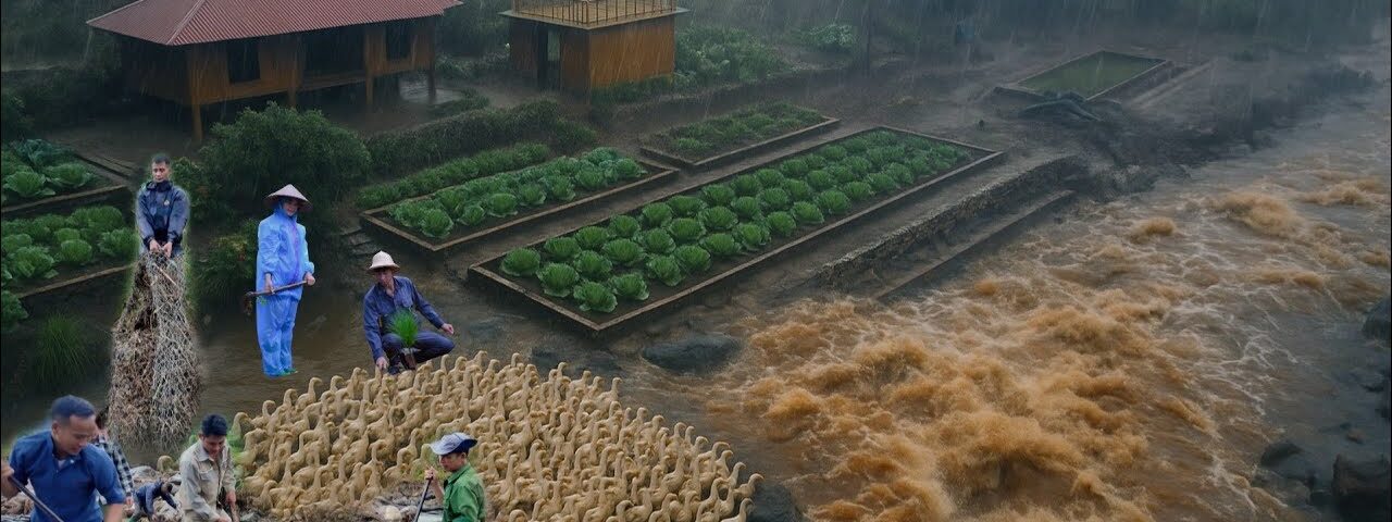 My Off-Grid Farm Survived a Massive Flood and Rebuilt Stronger