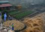 My Off-Grid Farm Survived a Massive Flood and Rebuilt Stronger