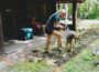 Off-Grid Log Cabin Dirt Work & Landscape Prep | Plus a Surprise Porcupine Visit!