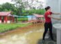 Building a Modern and Beautiful Off-Grid Toilet | from Start to Finish
