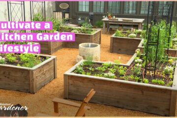Raised Bed Kitchen Garden