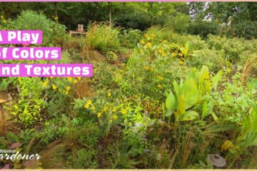 Landscape Design: A Dynamic Art Form