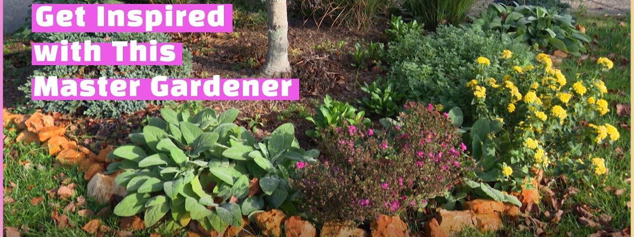 Enhancing the Beauty of a Community | Volunteer Gardener