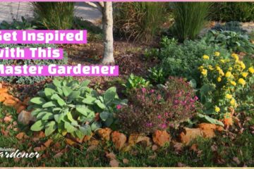 Enhancing the Beauty of a Community | Volunteer Gardener