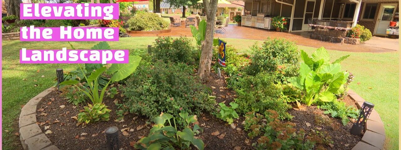 Knowing Plants for Perfect Placement | Volunteer Gardener