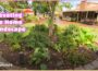 Knowing Plants for Perfect Placement | Volunteer Gardener