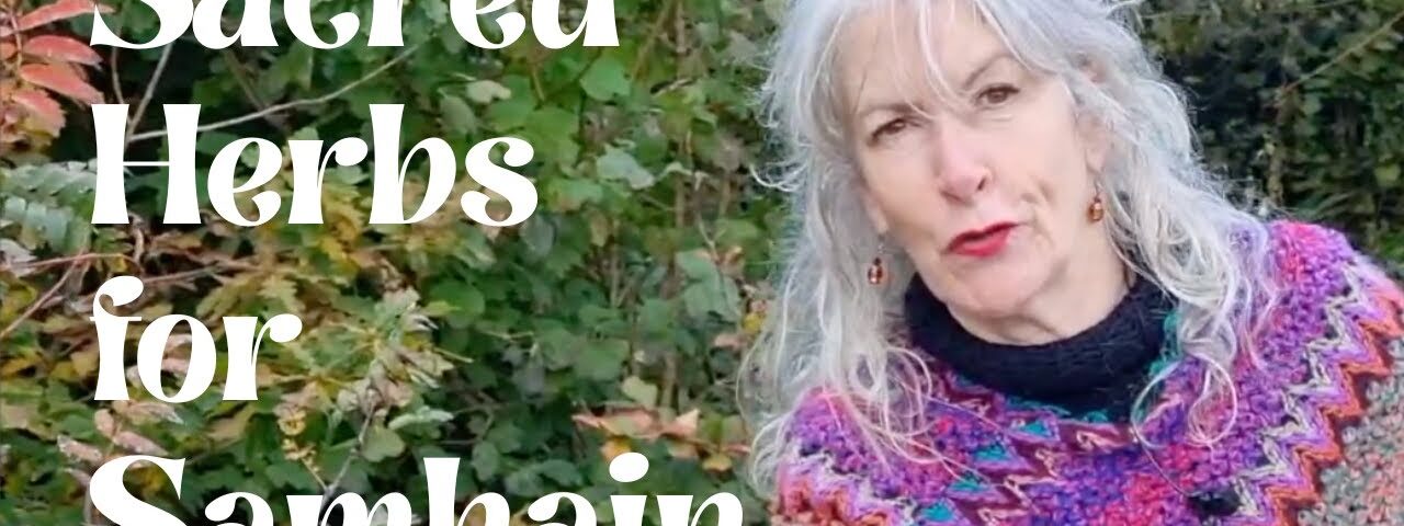 Sacred Herbs for Samhain