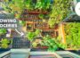 Small Space, Big Harvest – How to Grow Food in a Small Garden