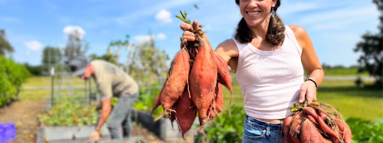 Growing a TON of FOOD in a Small Amount of Space