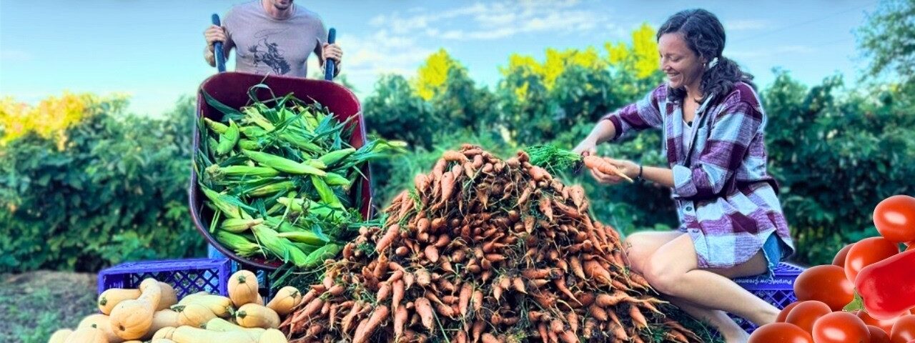 300 POUNDS of Food Harvested for Winter!