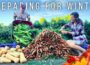 300 POUNDS of Food Harvested for Winter!