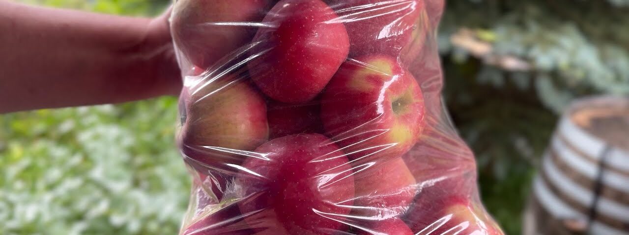 Storing FRESH apples for an ENTIRE YEAR!