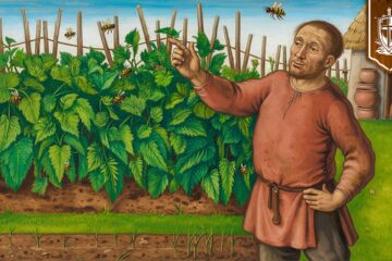 EVERY Peasant Garden Had This Plant (And You Should Too) EVERY Peasant Garden Had This Plant (And You Should Too)