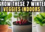 Grow These 7 Winter Veggies INDOORS for a Quick Harvest