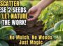 Forget Mulching FOREVER! Scatter THESE 2 Seeds and Watch Your Garden Transform Itself!