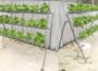 What’s special about automatic hydroponics at home – No need to take care