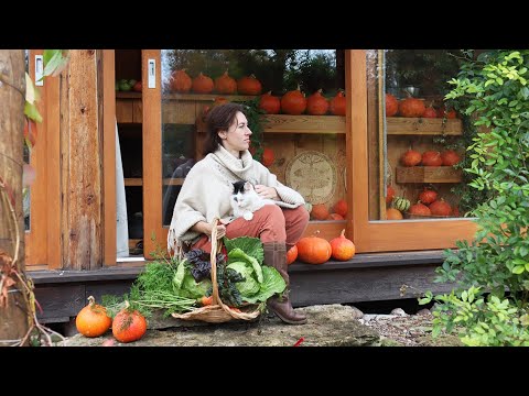 Is a self-sufficient way of living worth it? 5 years into homesteading