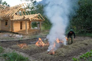 Harvest 70 kg Ginger and Sell it at the Market,Garden,Grow Kohlrabi, Cauliflower, Tomatoes, Off grid