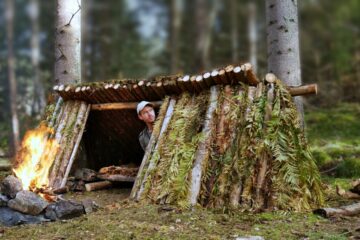 Building a Sturdy Shelter – Solo Camping in Autumn, Bushcraft, Foraging