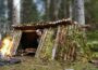 Building a Sturdy Shelter – Solo Camping in Autumn, Bushcraft, Foraging