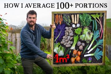 How Much Food You Can Grow Per 1m² (10ft²)