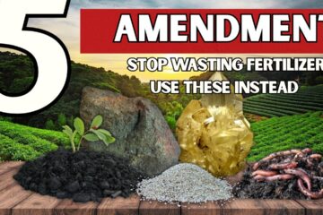 How 5 Hidden Minerals Triple Your Harvest (That Fertilizer Never Provides)?