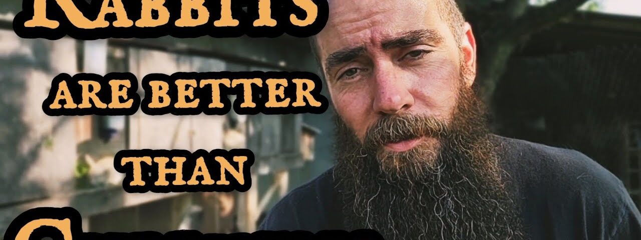 Homesteading: Why Rabbits Are BETTER Than Chickens!