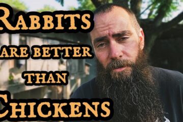 Homesteading: Why Rabbits Are BETTER Than Chickens!