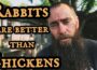 Homesteading: Why Rabbits Are BETTER Than Chickens!