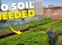 How He Grows 3 Tonnes of Food in Milk Crates (Rooftop Garden!)