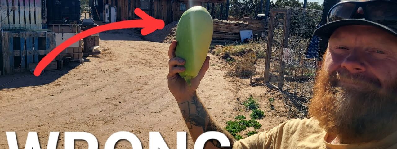 They said my Off-Grid Dream was impossible | I proved them WRONG