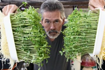 Microgreen Growers Will Hate Me For Showing You This