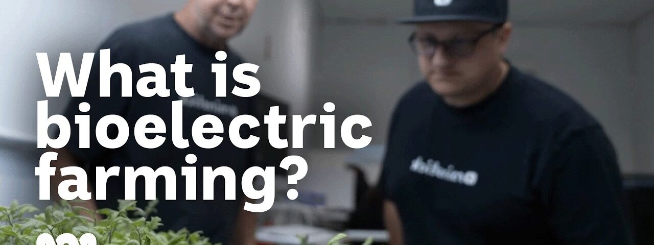 The science that is sparking a farming revolution