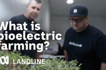 The science that is sparking a farming revolution